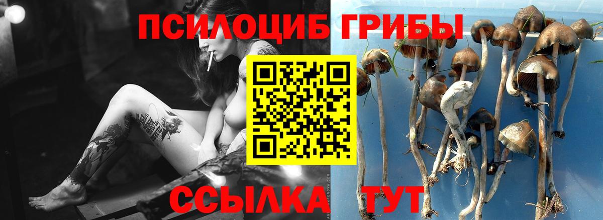 Галлюциногенные грибы мухоморы  Вход с VPN  Шуя 